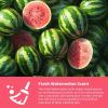 imageCOLORCORAL 3Pack Car Cleaning Gel for Keyboard CleanerLavender ScentedWatermelon Scent