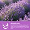 imageCOLORCORAL 3Pack Car Cleaning Gel for Keyboard CleanerLavender ScentedWatermelon Scent